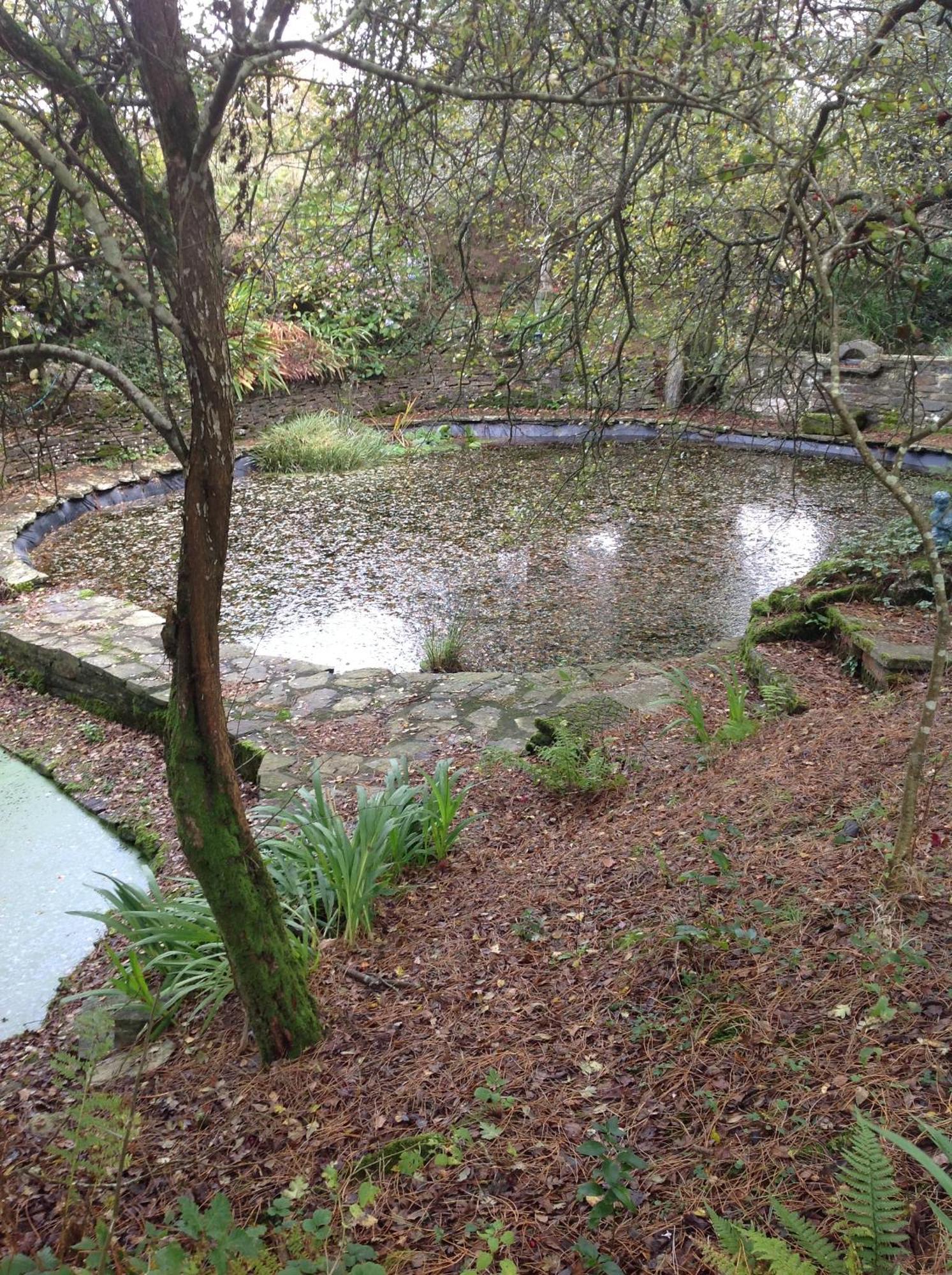 Trevenna Cabin St Austell Kültér fotó